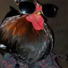 tsukaaaaaaaa