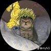 sandro_d_charkvian