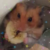 owl_pellet