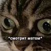 gomzikova99