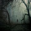 turnips_creates