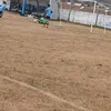 jonitoguaita