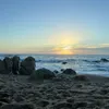 tangueses