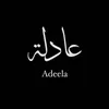 adeelapatel_