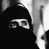 v_m15.1