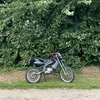 alanasmx15