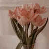 fatii__21