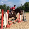 userhorsebackrider