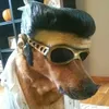 imoncorvo