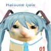 dg_oscarrt2.0