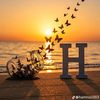 user8566858851038faizan