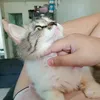 zyzyvyyy