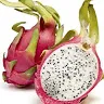 fruitdragon2