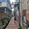 nyonyakabisat