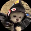 spookyguap0