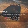 zidii.larka260