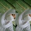 saniaafadli