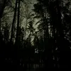 _nikita_l0x