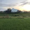 lalalililululololele_