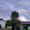 putrinadin_01