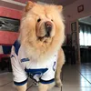 zoethechowchow