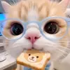 aliya_5490