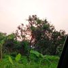 prmtparamita_