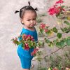 tran_151220