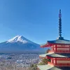 🇯🇵 🌻ひまわり🌻🇯🇵