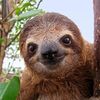 sloth3000