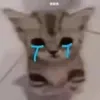 nlinh_55
