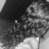 santsx_39