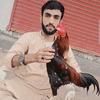 hafeezbaloch19