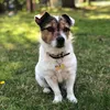fifitinkerbell11