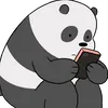 panda_sem_curso