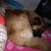 florbelenmartinez