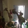 userboynguyen