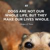 doglover4824