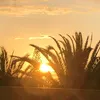 peresmeshnik7