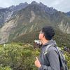 bayam_merah08