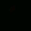 ccy__6