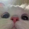 oncloudeight