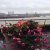 amal_alkhaleiwi