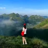 trinhminh005