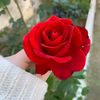 aaycha1234