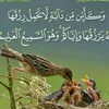 mariyaibrahimmsallah