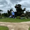 linhminh2019