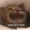 _opa_nasrav_intelopa_