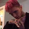 adaniziocosta