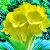 user9311940783209